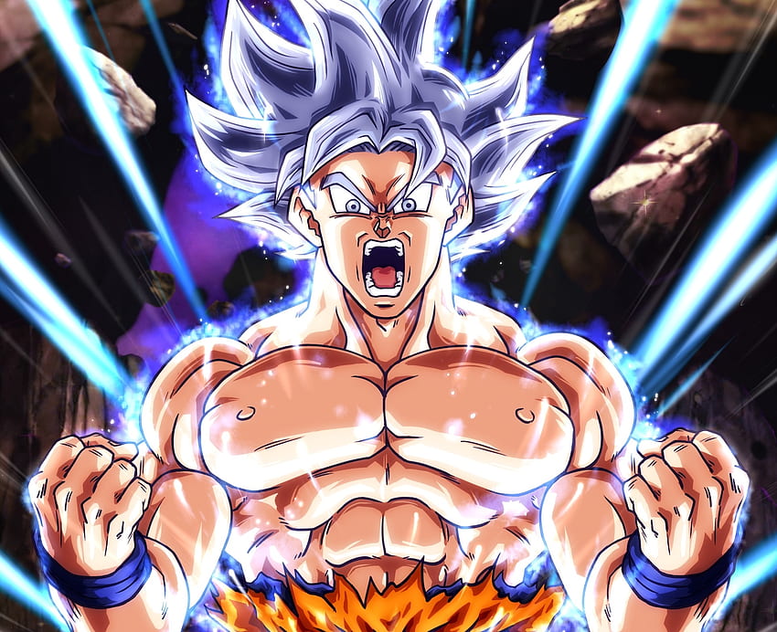 Goku, white hair, dragon ball, art HD wallpaper