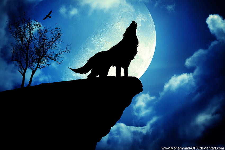 Wolf, Blue Lightning Wolf HD wallpaper