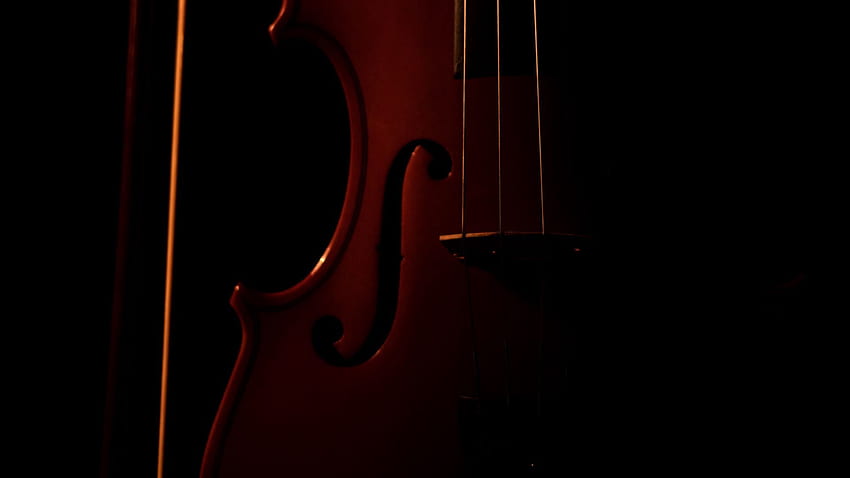 Instrument - for , Windows, Mac & Mobile, Double Bass HD wallpaper