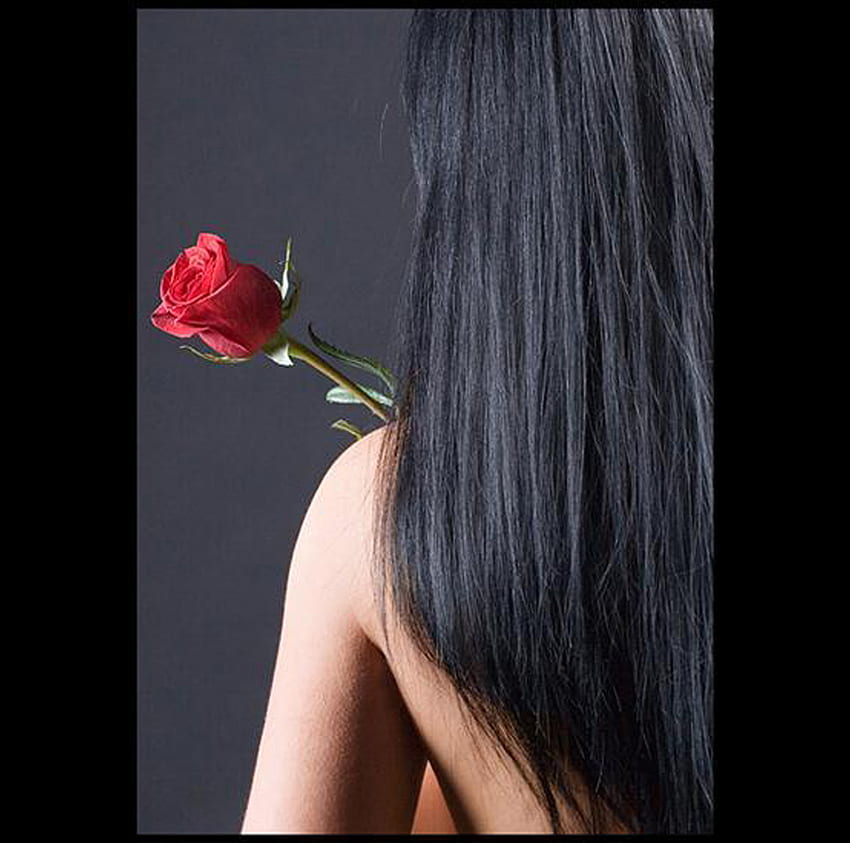 Czerwona róża czarny, róża, czarny, czerwony, dziewczyny, szkarłat, włosy Tapeta HD