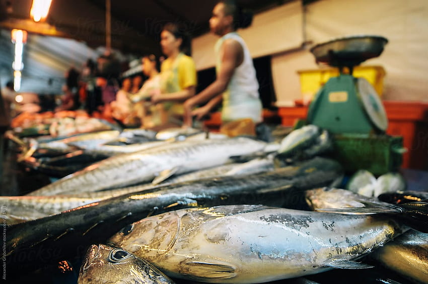 mercado de peixe asiático papel de parede HD