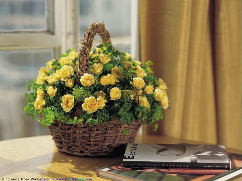 cesta de rosas amarillas, cesta, libros, hojas, flores fondo de pantalla