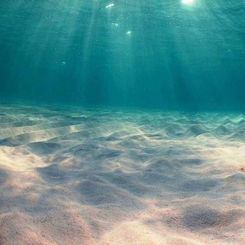 Mar profundo. océano, hermosa naturaleza, bajo, marino fondo de pantalla del teléfono