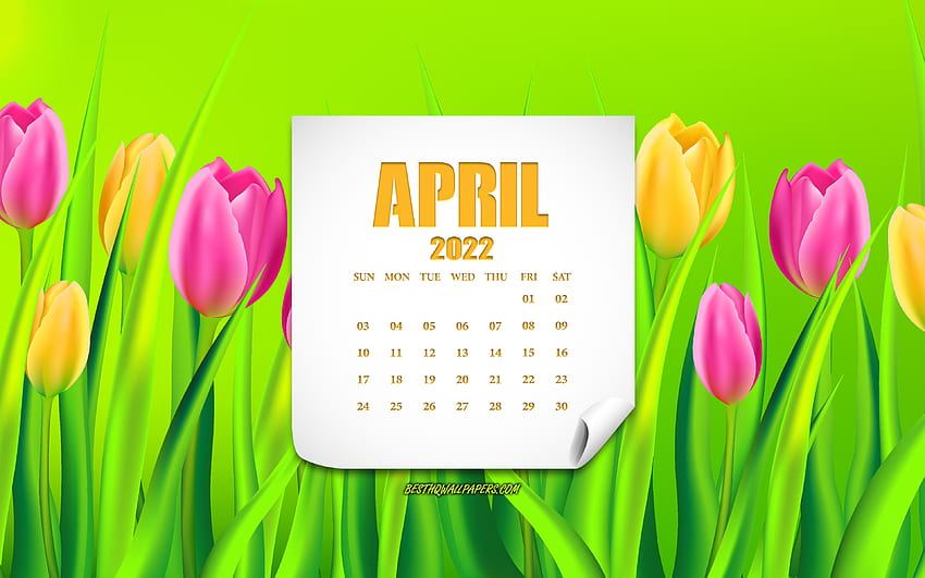 2022 April Calendar, , pink tulips, yellow tulips, pink flowers, 2022 calendars, April, 2022 concepts, April 2022 Calendar HD wallpaper