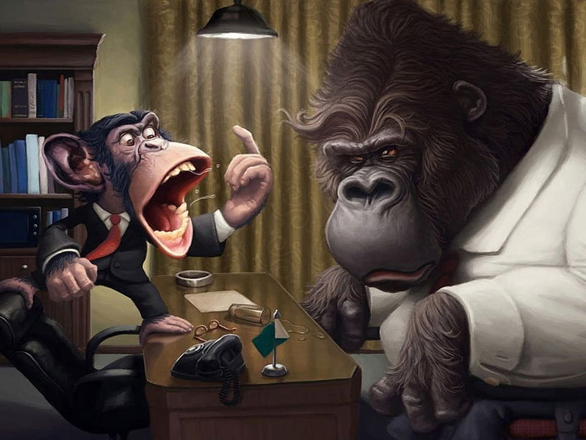 Monkey Business, apes, cartoons, art, monkeys HD wallpaper