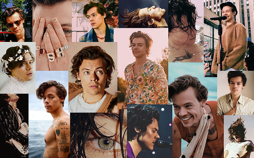 H. Harry Styles, Harry Styles, Harry Styles, Harry Styles Collage HD-Hintergrundbild