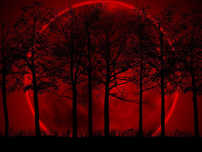 34 Moon forest Red and Black HD wallpaper