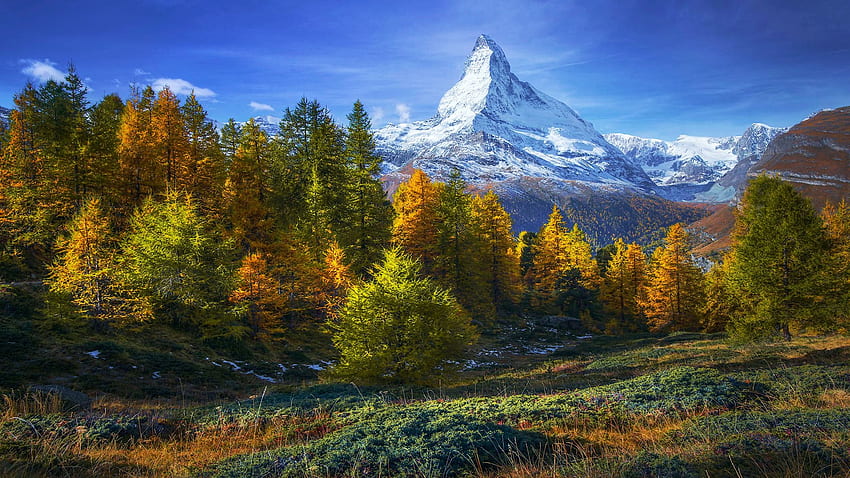 The Matterhorn, Switzerland, leaves, fall, landscape, autumn, colors, trees, sky, alps HD wallpaper