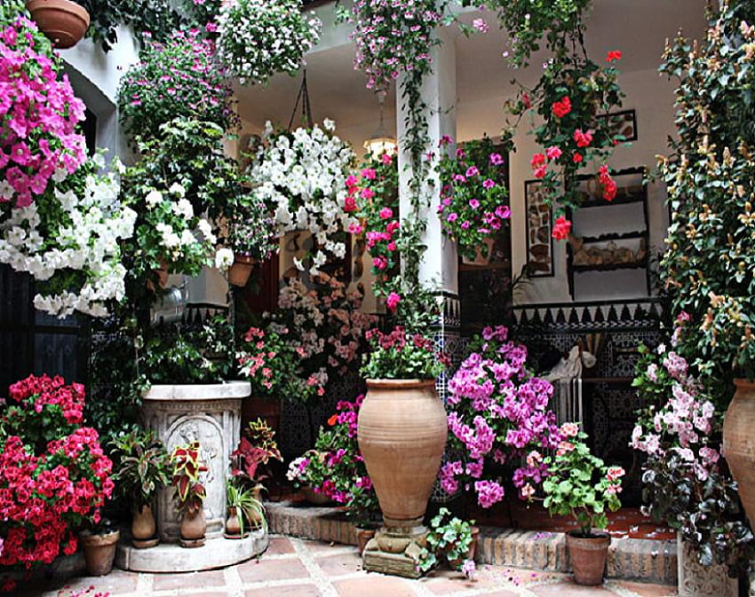 庭師の誇りと喜び、パティオ、花びら、吊り下げ、庭、花瓶、美しい、花、ポット 高画質の壁紙