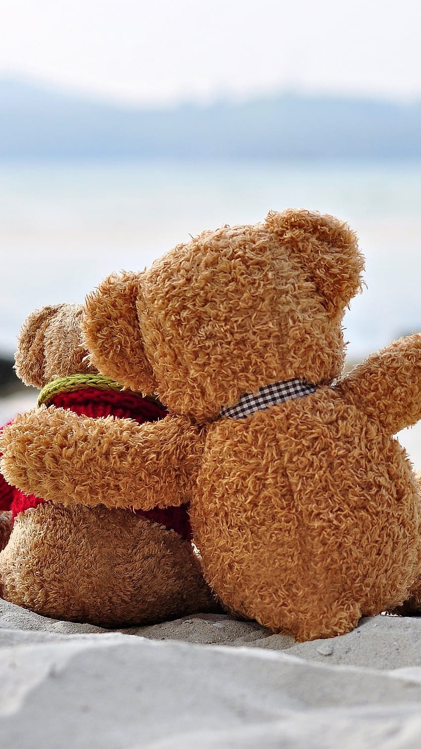 ตุ๊กตาหมีกะเพื่อนหมีเท็ดดี้ วอลล์เปเปอร์โทรศัพท์ HD