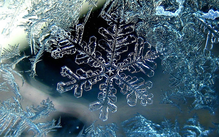 Preview snowflake, winter, macro, ice . Snowflake , pc, Snowflakes HD wallpaper