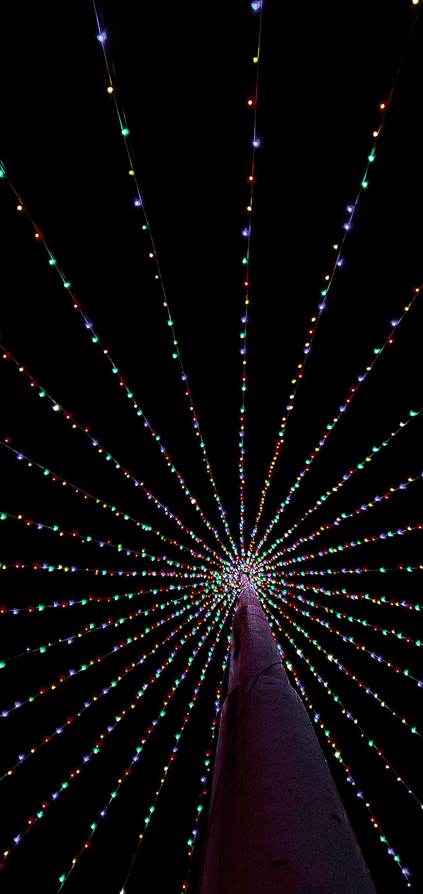 Arbol de Navidad, elektrisches Blau, Mitternacht HD-Handy-Hintergrundbild
