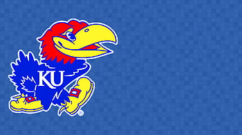 Ku basketball HD wallpapers  Pxfuel