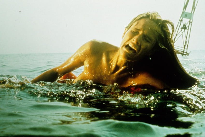 JAWS FIRST VICTIM, JAWS, FILM, HORROR, GREAT WHITE HD wallpaper
