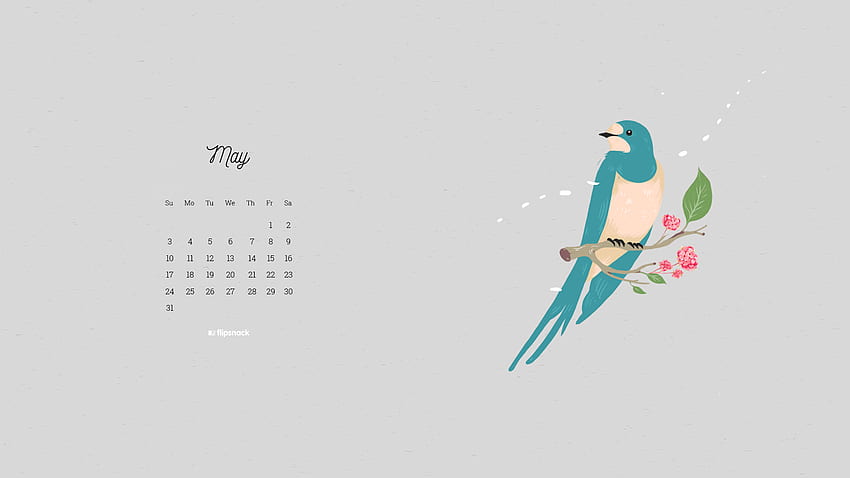 2020 calendars (January - December), May 2020 Calendar HD wallpaper ...