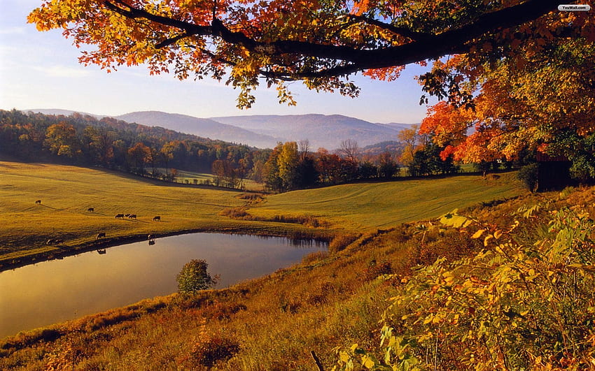 Find out: Autumn Landscape autumn, Sleepy Hollow Farm Woodstock Vermont in Winter HD wallpaper