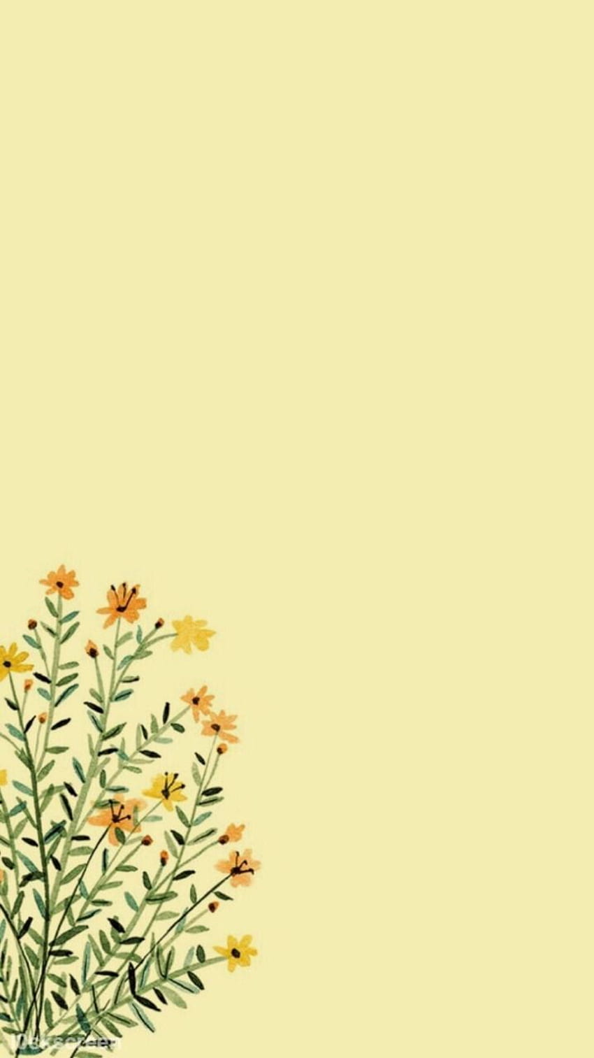 Pastel Yellow, Soft Yellow Aesthetic HD phone wallpaper