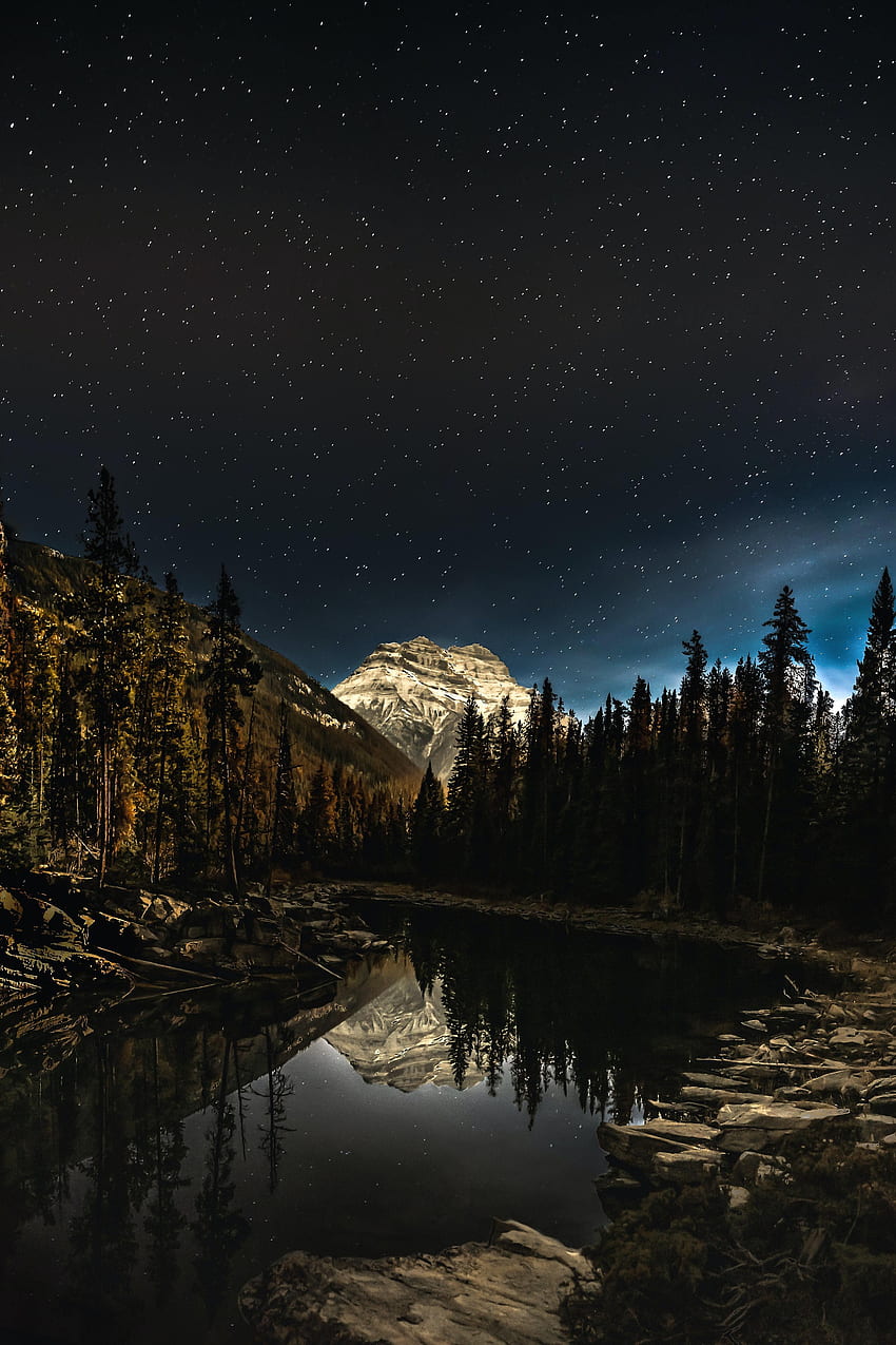 paisaje, naturaleza, noche, montaña, lago, bosque fondo de pantalla del teléfono