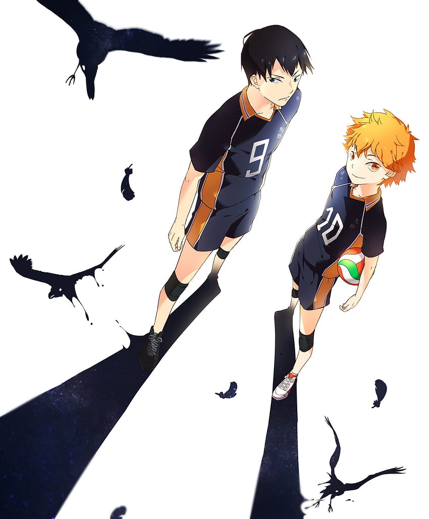 Haikyuu - .wiki, KageHina HD wallpaper