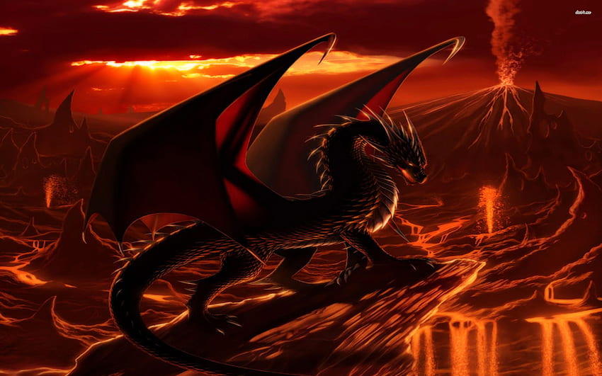 Fire Dragon, Amazing Fire Dragon HD wallpaper | Pxfuel