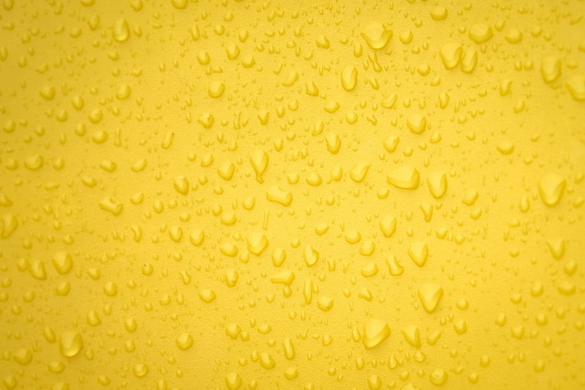 Drops, Macro, Surface HD wallpaper