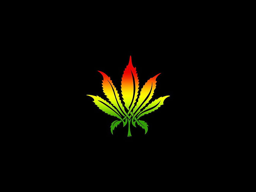 Tribal Leaf Rasta, Tribal Logo HD wallpaper
