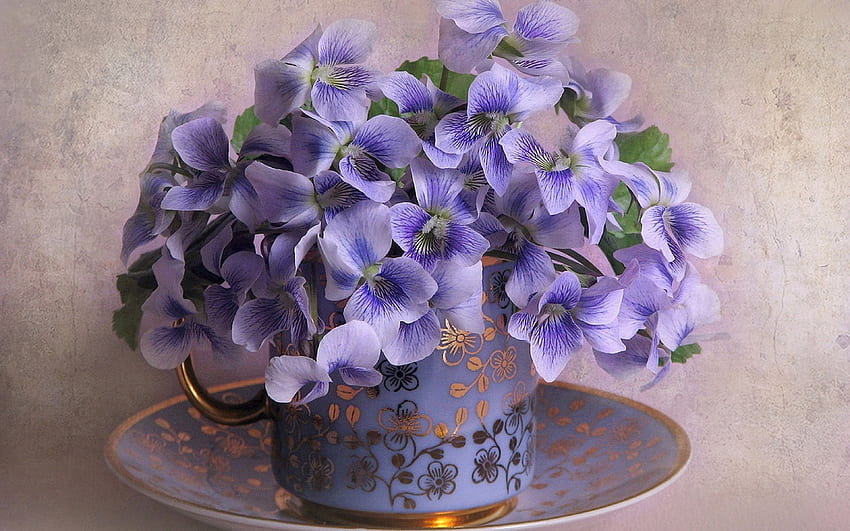 Jolies violettes, assiette, violet, fleur, jolie Fond d'écran HD