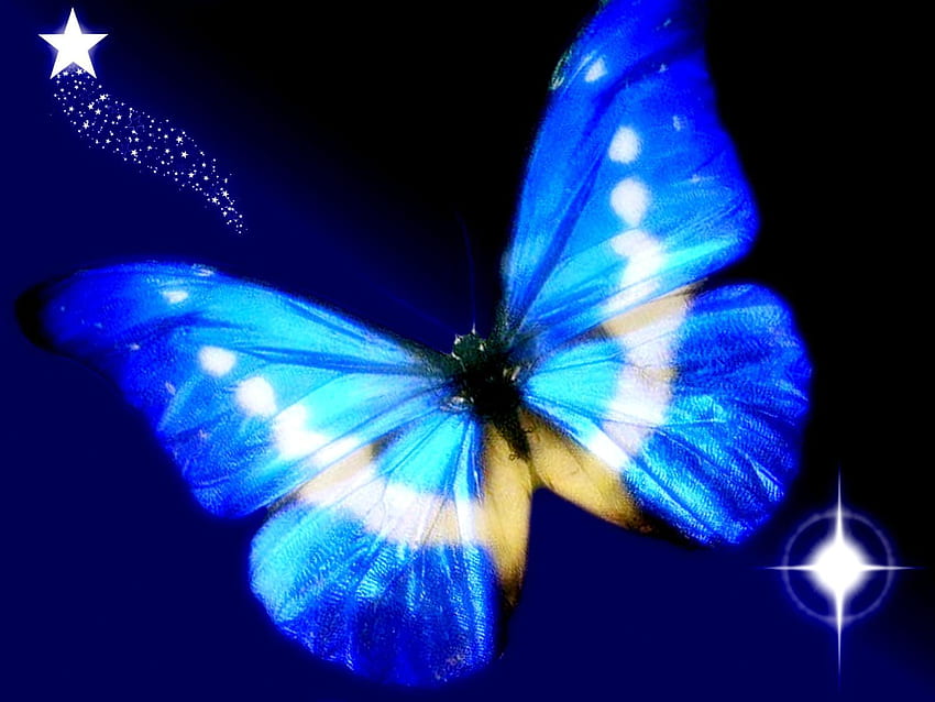 Butterfly, abstract HD wallpaper
