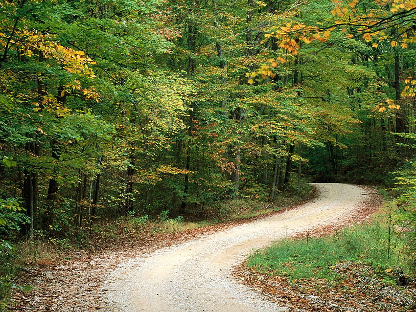 Wiejska Droga W Jesieni Nashville Indiana - Malownicze Drogi I ścieżki Tapeta HD