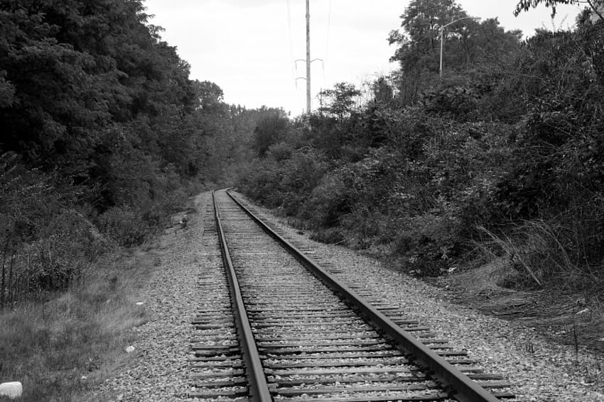 Right On Track, rail, train tracks, tracks, train, railroad HD wallpaper