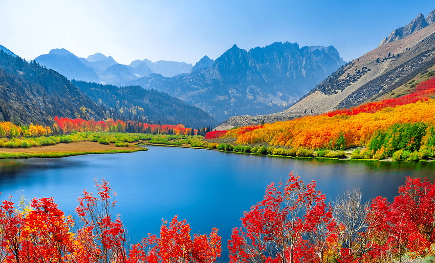 Colorful autumn trees, colorful, fall, branches, autumn, trees, beautiful, mountain, lake HD wallpaper