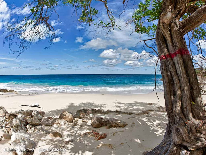 Pantai Karibia Selamat Datang di Pemandangan Tropis, Bali Wallpaper HD