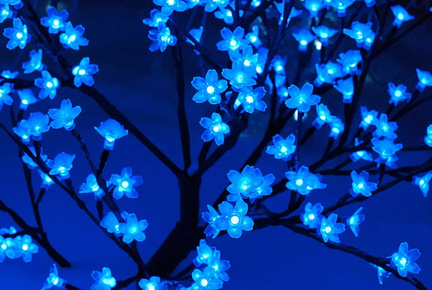 Blue Christmas Decoration, blue, lights, decorations, beautiful, flowers HD wallpaper