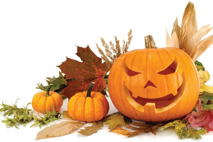 Autumn~Halloween, pumpkins, gourds, halloween, leaves, Fall, pumpkin, jack o lantern, Autumn HD wallpaper