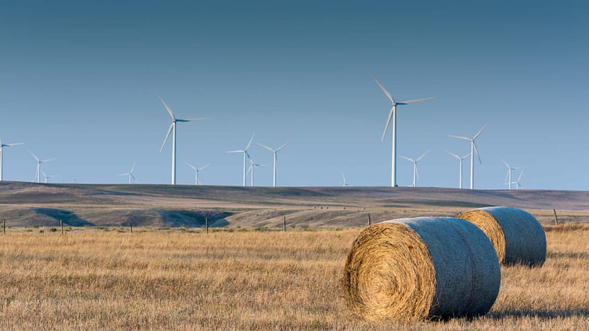 지구상에는 341,000개 이상의 풍력 터빈이 있으며, 이것이 중요한 이유, 풍력 에너지 HD 월페이퍼