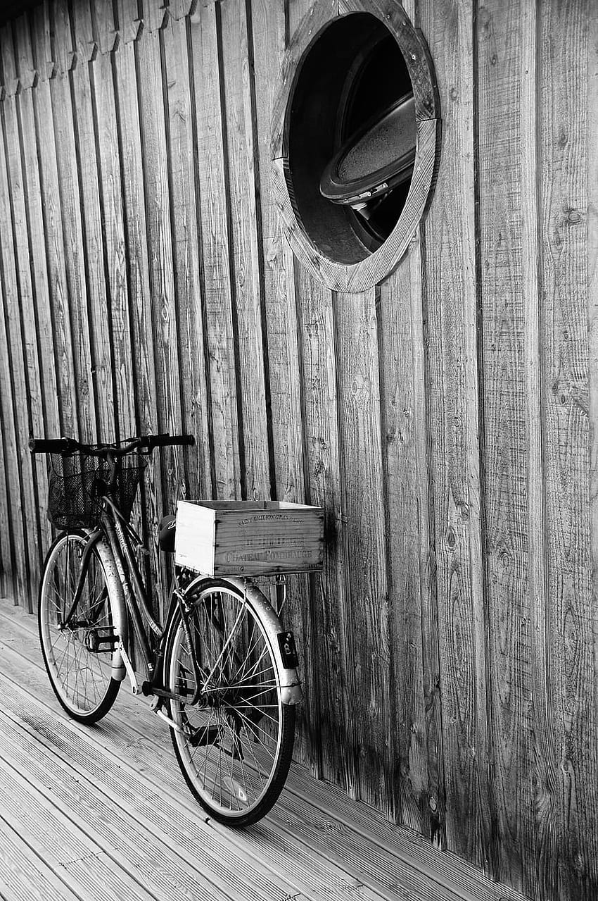 black, white, bike, cape, ferret, phone , transportation, Bicycle HD phone wallpaper