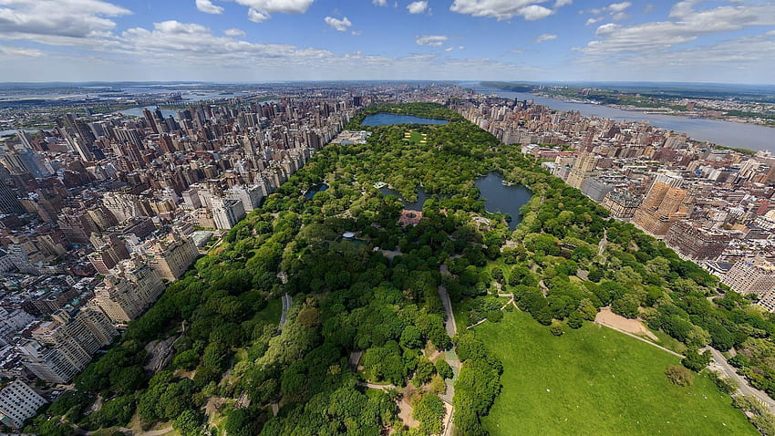 New york new York Central Park, Central Park Musim Panas Wallpaper HD