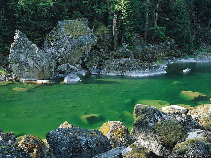 Natural Background Dark Green Water, Dark Green Landscape HD wallpaper