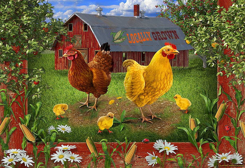 Locally grown, barn, rooster, hen, chicken, painting, flowers HD wallpaper