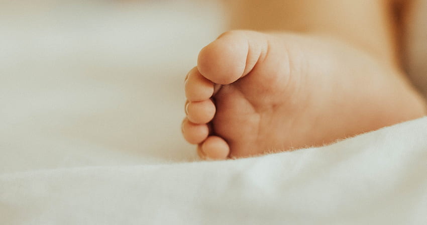 baby infant feet and foot and background, Sole HD wallpaper