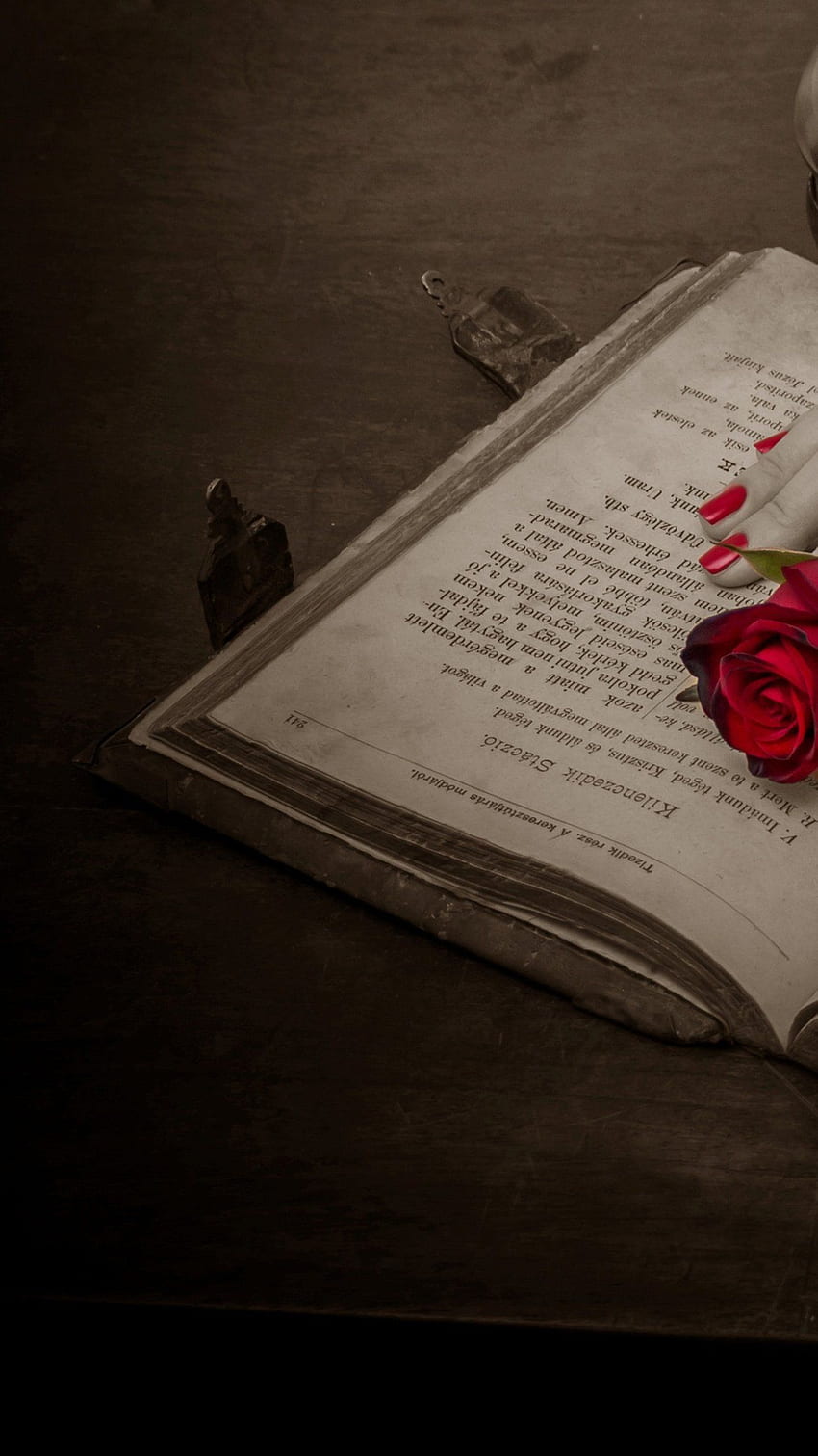 Prayer Book, Rose, Red Rose, Book, Old Book, Antique - rose. iPhone, Books and Rose HD phone wallpaper