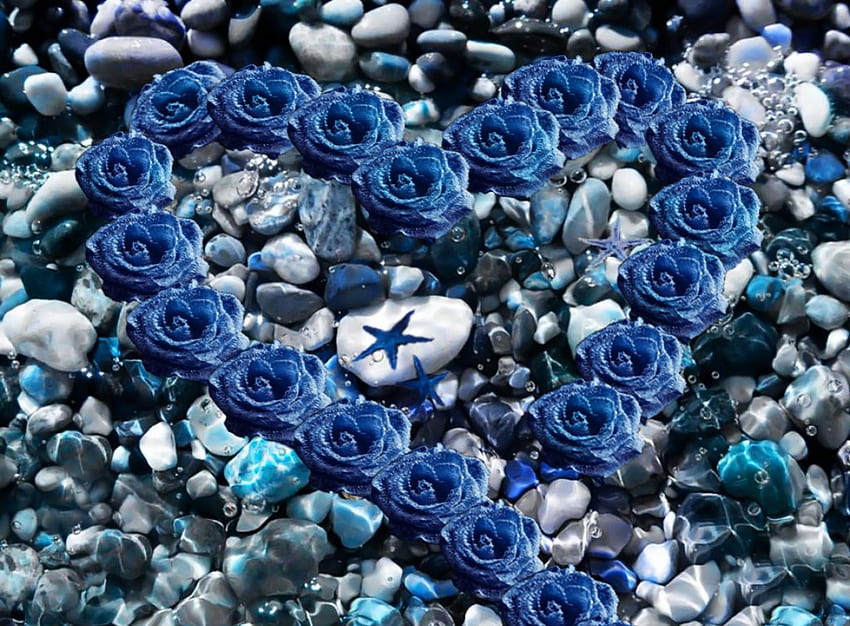 ♡.~.~.~.♡, blue, sea, starfish, roses, summer, pebbles, bubbles, heart, water HD wallpaper