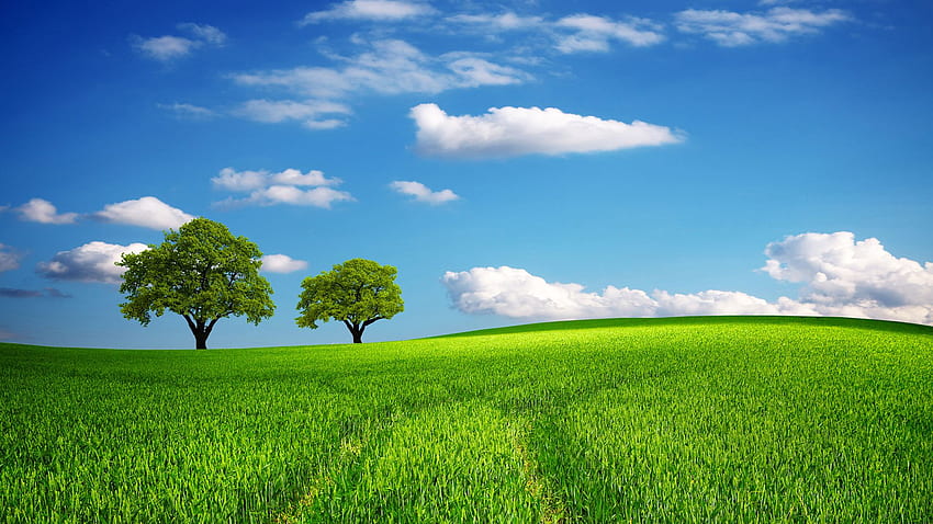Green Field Stock Photos, Images and Backgrounds for Free Download