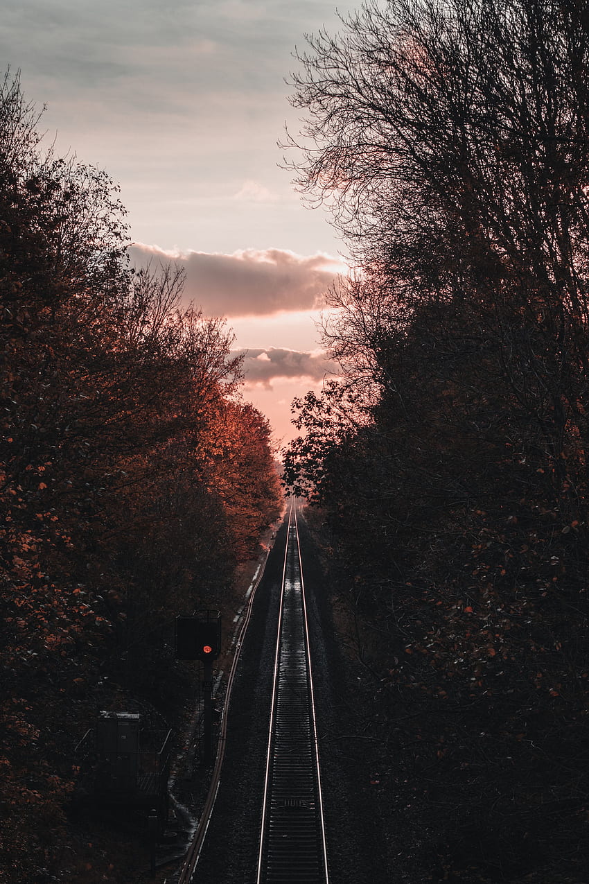 Trees, Twilight, View From Above, Dark, Dusk, Railway, Rails HD phone wallpaper