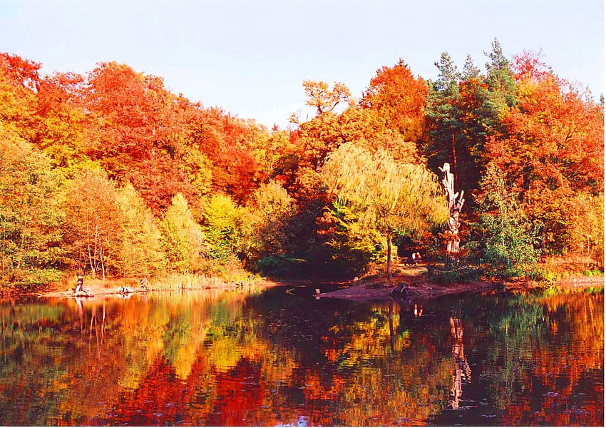 Lake Pond Leaves Summer Colors Trees Autumn Indian HD wallpaper