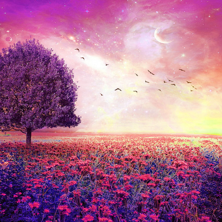 Peri Rüya gibi Doğa Çiçek Bahçesi iPad Air, Purple Fairy HD telefon duvar kağıdı