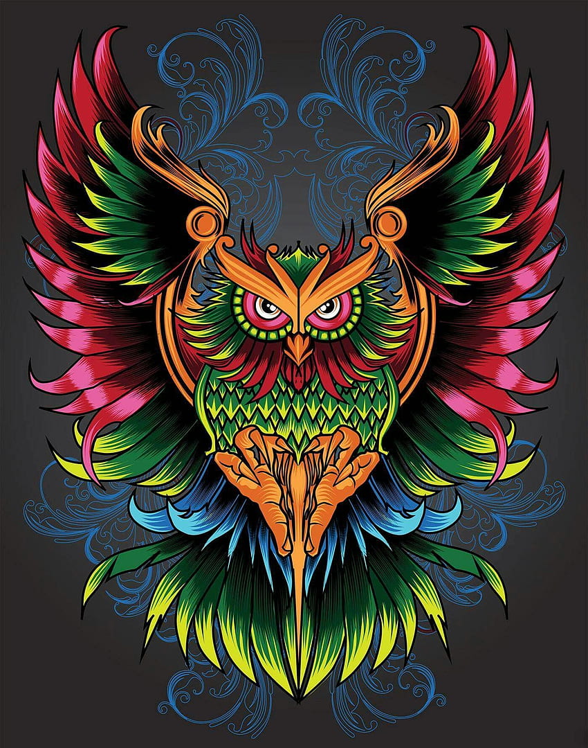 Colorful Owl. Owls in 2019. Owl artwork, Owl art, Owl HD phone wallpaper