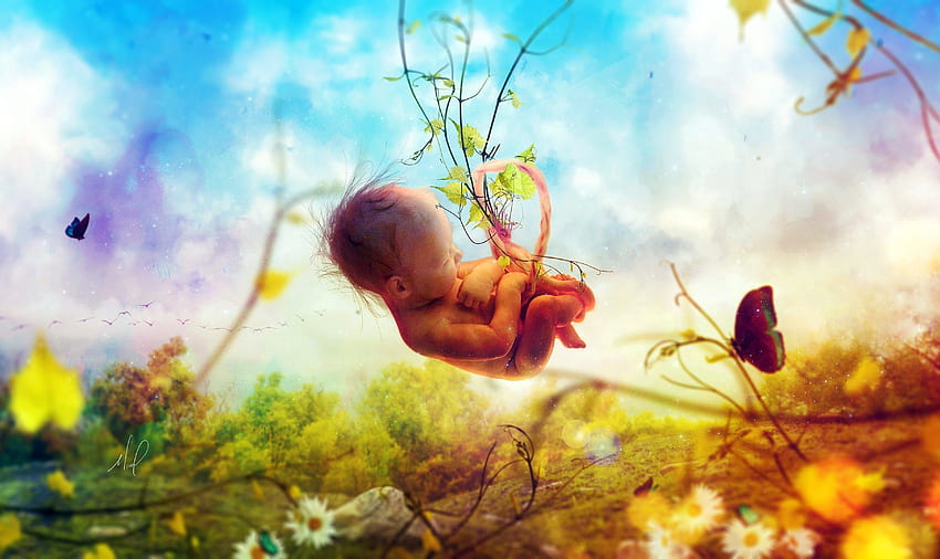 ทารกในครรภ์ ธรรมชาติ ทารก ความฝัน เซอร์เรียล แฟนตาซี วอลล์เปเปอร์ HD