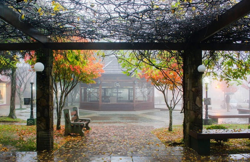 Rainy Autumn, rain, fall, drops, rainy, autumn leaves, leaves, benches, autumn, nature, splendor HD wallpaper