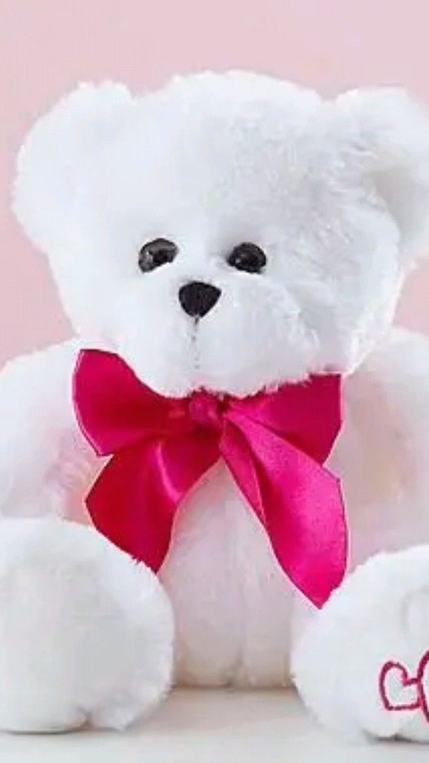 Beautiful Teddy Bear, Soft, White HD phone wallpaper